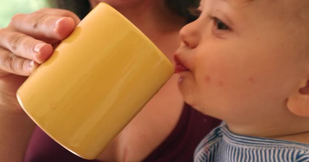 Thirsty Infant Drinking Water Cup Mother Hydrating Baby Son — Vídeo de stock