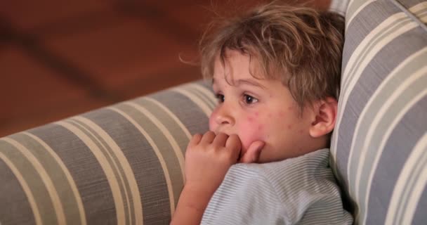 Candid Little Boy Child Hypnotized Screen Night Sofa — Video Stock