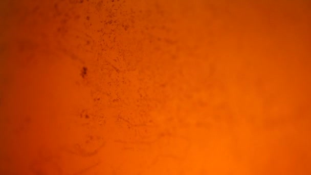 Πορτοκαλί Κερί Φωτισμού Θερμοκρασία Φόντο — Αρχείο Βίντεο