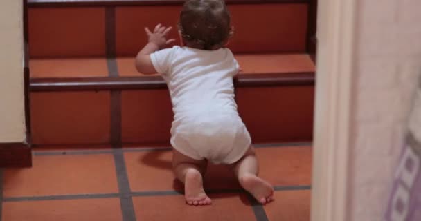 Baby Crawling Indoors Going Home Stairs — 图库视频影像
