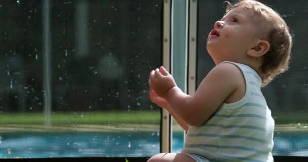 Szczęśliwe Dziecko Siedzące Trawie Zewnątrz Podnosząc Ramiona Powietrzu — Wideo stockowe