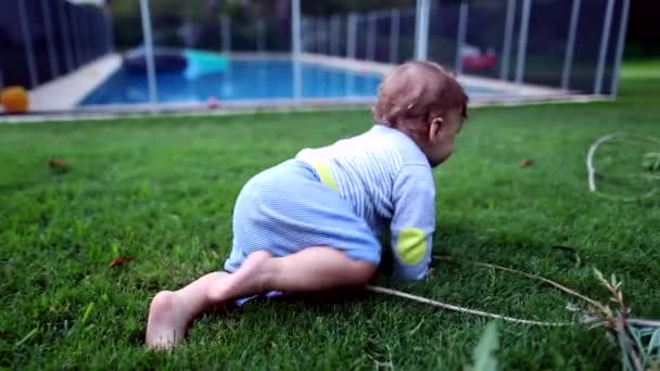 在自家花园后院爬行的婴儿 — 图库视频影像