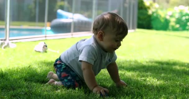 Speelse Baby Kruipen Buiten Huis Gazon — Stockvideo