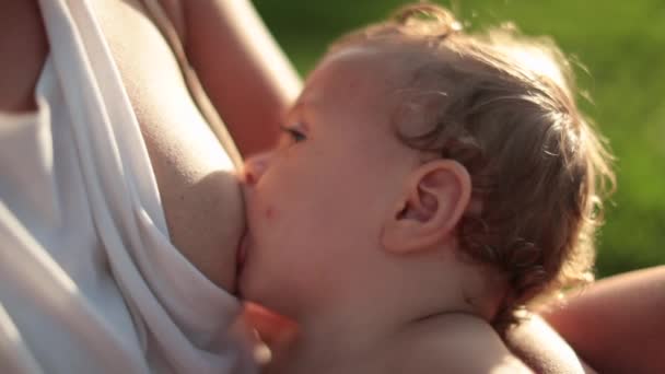 Mother Breastfeeding One Year Old Baby Infant Outdoors — 图库视频影像