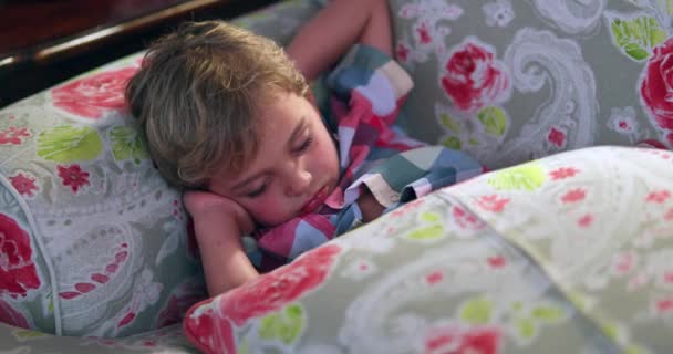 Küçük Çocuk Geceleri Kanepede Uyuyor Çömelmiş Yorgun Çocuk Uyuyor — Stok video