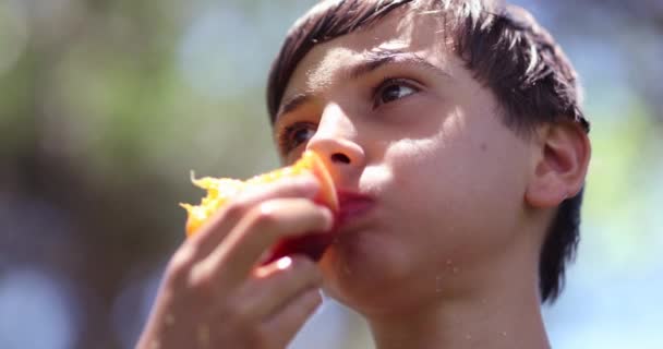 Bambino Mangiare Frutta Pesca All Aperto Prendendo Morso Spuntino Sano — Video Stock