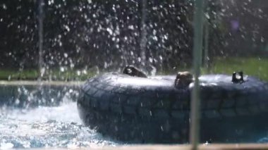 Çocuk şişirilmiş yatağın üstünde dinleniyor ve dinleniyor.