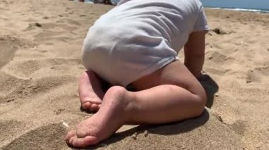 Kumsalda oturan bebek