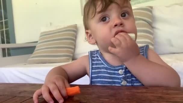 Дети Едят Овощи Младенцы Жуют Пищу Наблюдая Миром — стоковое видео