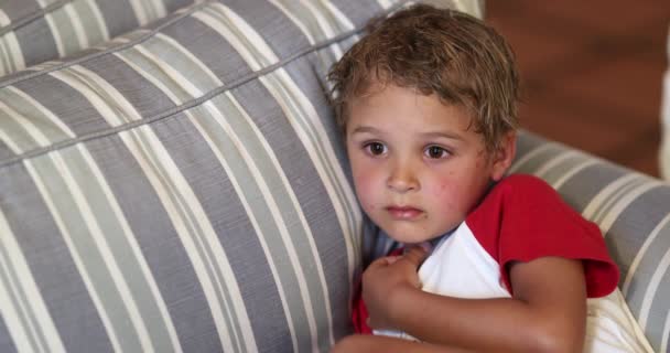 Niño Pequeño Viendo Televisión Casa Acostado Sofá Niño Observa Contenido — Vídeo de stock