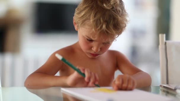 Ragazzo Bambino Creativo Concentrato Disegno Carta Bambino Artistico Disegna Con — Video Stock