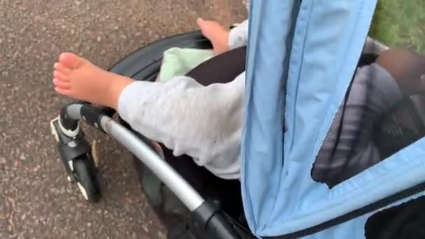 Ein Spaziergang Mit Baby Draußen Säugling Kinderwagen Bewegung — Stockvideo