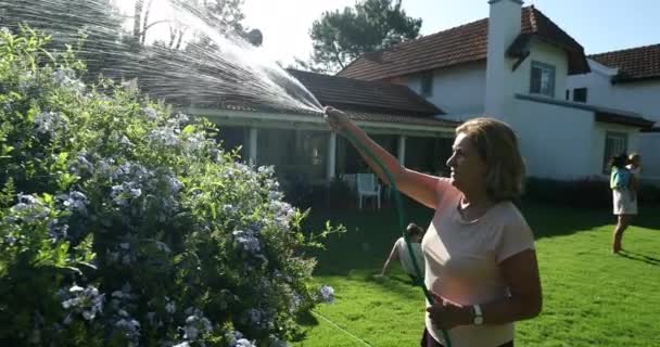 Older Woman Watering Plants Sunny Beautiful Day Water Hose Residential — Stock video