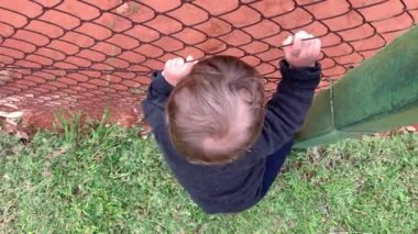 Baby hands holding into wire fence