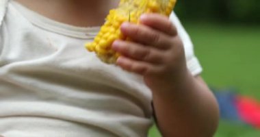 Cute baby boy taking a bite of corn cob outdoors. Toddler infant eating snack in picnic