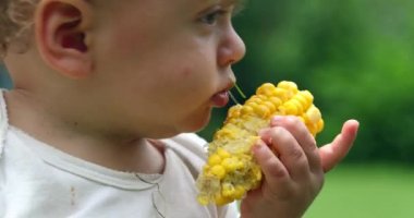 Infant baby eating corn outdoors in picnic