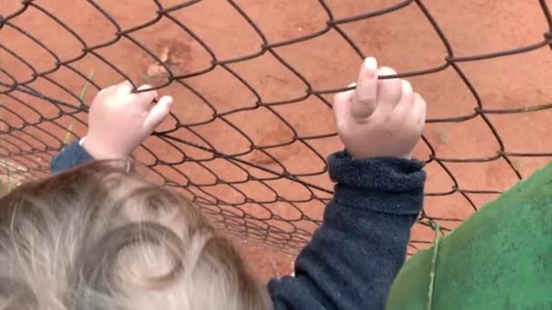 Closeup Baby Hands Holding Intp Fence Watching Game — Stockvideo