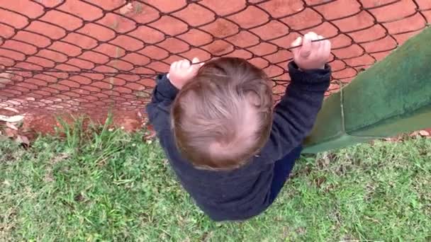 Baby Hands Holding Wire Fence — Stockvideo