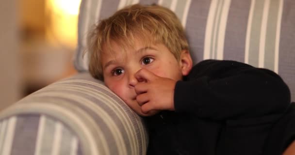 Дитина Дивиться Фільм Дивані Вночі Хлопчик Тоддлер Подряпає Ніс Дивлячись — стокове відео