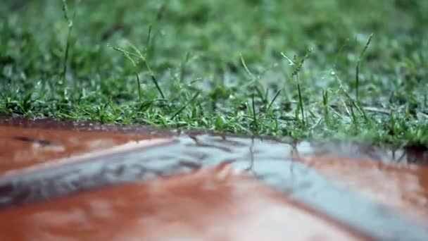 Esős Évszakban Földre Hulló Esőcseppek — Stock videók