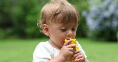 Cute baby infant boy eating corn cob outdoors portrait