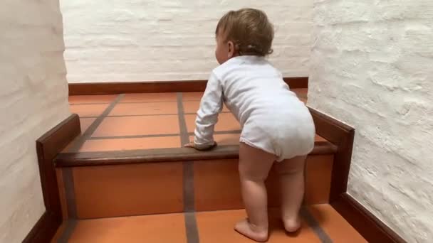 Acrtive Cute Baby Infant Climbing Home Stairs — Stock video