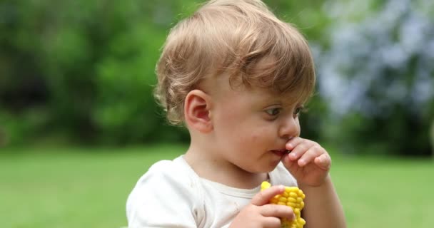 Baby Scratching Nose Hand Infant Boy Touching Face — Stockvideo