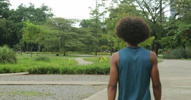 Back of african american man walking at park