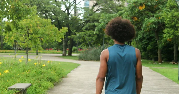 Back of african american person walking in nature outdoors, contemplating thinking about life