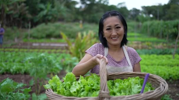 Portrait Happy Asian American Small Farmer Holding Organic Food Basket — Vídeo de stock