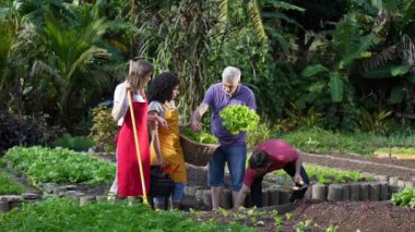 Toplum çiftçileri organik yerel süslemeler üzerinde duran bitki büyümesini tartışıyor. Marul sepeti taşıyan insanlar doğal ekin planlıyorlar.
