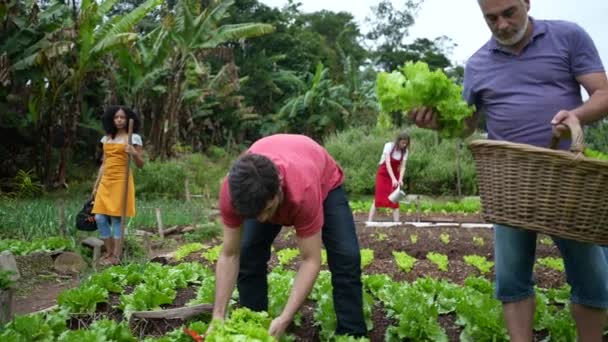 Ομάδα Αγροτών Της Κοινότητας Που Καλλιεργούν Βιολογικά Τρόφιμα Τοπικό Μικρό — Αρχείο Βίντεο