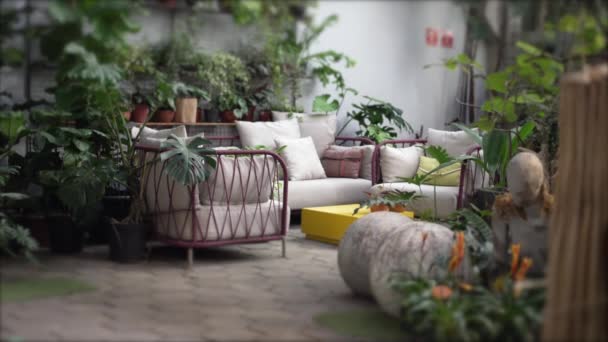 Interior Green Living Room Sofas Plants Furniture Couch Environmental Home — Vídeo de stock