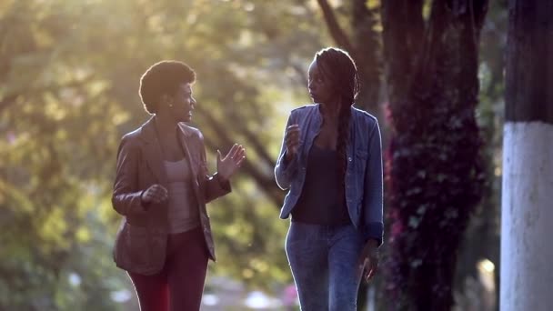 Açık Havada Yürürken Dedikoducu Kadınlar Arkadaş Konuşuyor — Stok video