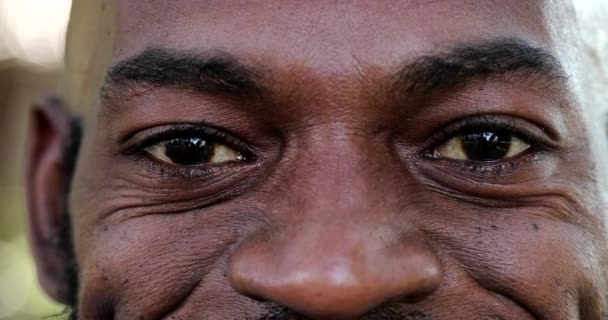 Afričan Muž Close Oči Při Pohledu Kameru Makro Detailní Černošky — Stock video
