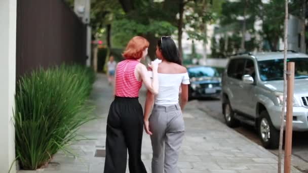 Due Ragazze Che Camminano Insieme Strada Ragazza Appoggiata Altre Amiche — Video Stock