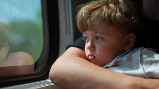 Маленький Хлопчик Подорожує Поїздом Вказуючи Пальцем Над Вікном — стокове відео