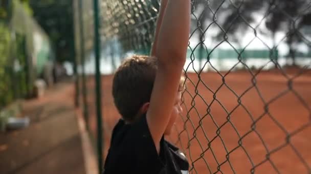 테니스 경기를 흔들며 스포츠 경기를 구경하는 — 비디오