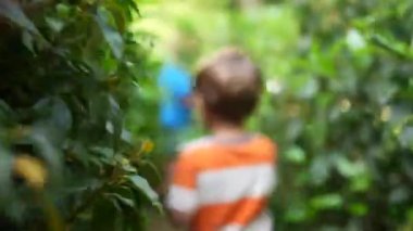 Çocuk çayırlarda yürüyor. Çocuk yeşil manzara yolunda yürüyor.