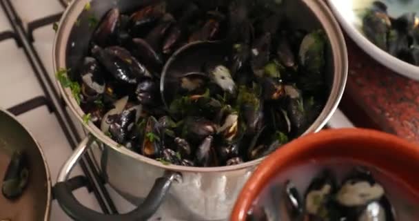 鍋の中の魚介類 皿の上で調理したムール貝を提供する人 — ストック動画
