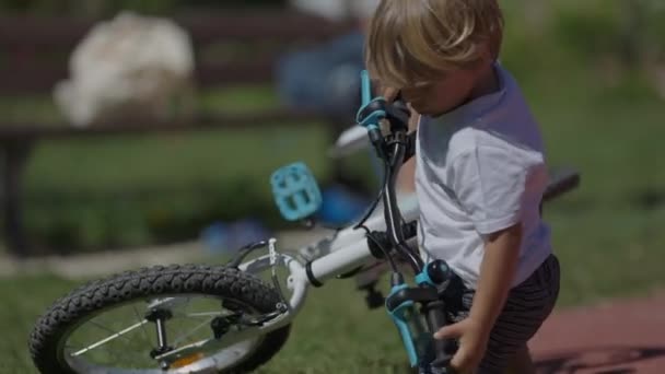 子供の自転車を拾う努力子供は自転車を上げる — ストック動画