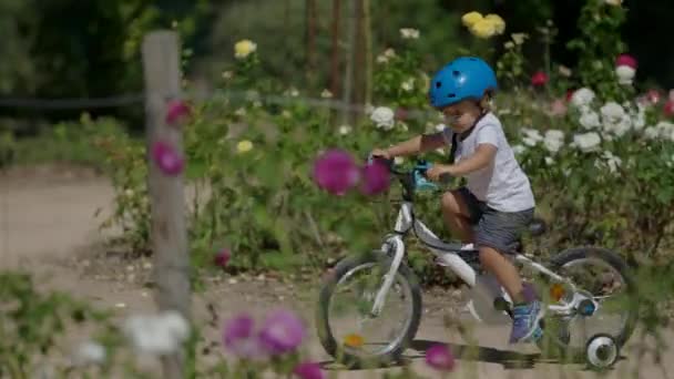 Menino Pequeno Andar Bicicleta Fora Criança Passeios Bicicleta Usando Capacete — Vídeo de Stock