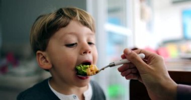 Anne karnını kaşıkla doyuran anne, küçük oğlanı doyurur.