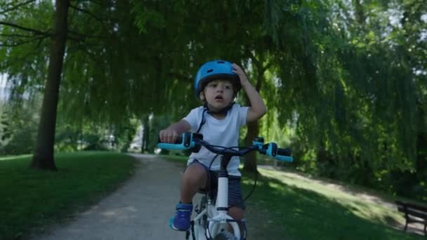 公園の外で自転車に乗っている小さな男の子 — ストック動画