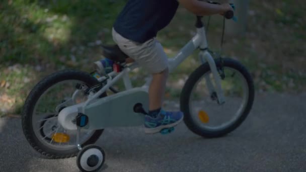 Criança Pequena Andar Bicicleta Fora Menino Passeios Bicicleta — Vídeo de Stock