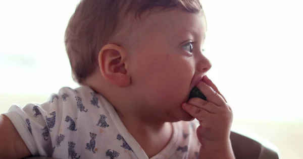 Cute Baby Toddler Eating Broccoli Vegetable Infant Wide Open Mouth —  Fotos de Stock