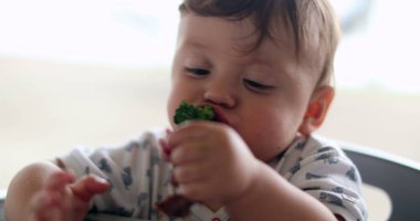 Baby eating broccoli and a piece of meat