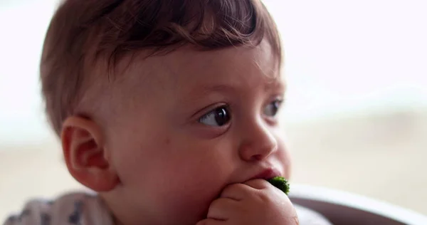 Дитина Їсть Брокколі Овочі Самого Годування Здоровою Закускою — стокове фото