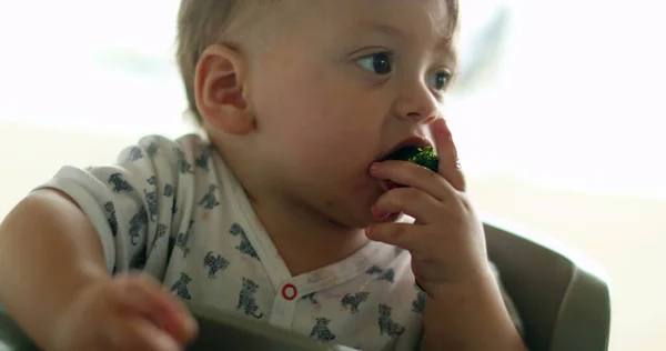 Baby Eating Broccoli Vegetable Highchair — Stock fotografie