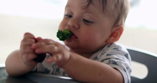 Baby Eating Broccoli Piece Meat — Fotografia de Stock